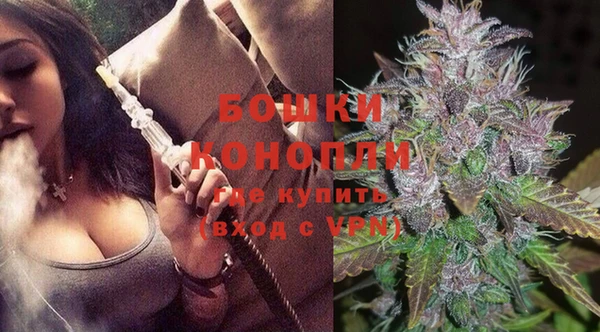 гидра Верея