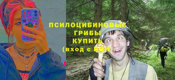 сатива Бронницы