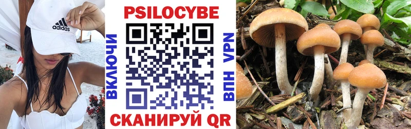 shop Telegram  Высоцк  Псилоцибиновые грибы мицелий  где можно купить  